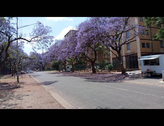 1 BEDROOM APARTMENT FOR SALE IN ARCADIA